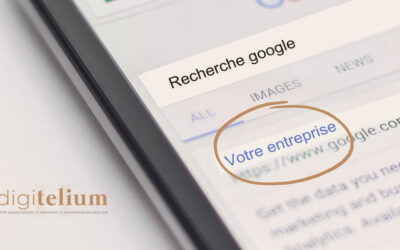 Le Référencement au sein de Digitelium