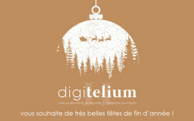 Joyeux noël et bonnes fêtes de fin d’année !